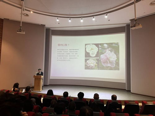 首屆芙蓉文化學術(shù)交流活動在蓉城隆重啟幕，共繪文化繁榮新圖景